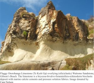 Flaggy Otorohanga limestone overlying siliciclastic Waitomo Sandstone. Limestone is a bryozoan-foraminifera-echinoderm bioclastic with calcite marine cements and pressure solution fabrics