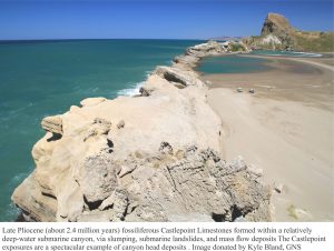 Late Pliocene fossiliferous Castlepoint Limestone deposited in a deep water submarine canyon - slumping, submarine landslides, and MTDs