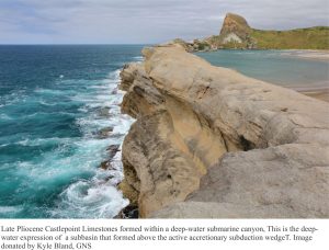 Late Pliocene fossiliferous Castlepoint Limestone deposited in a deep water submarine canyon - the expression of a sub-basin formed above the accretionary subduction prism.