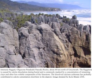 Intensely flagged, Oligocene limestone, caused by calcite dissolution during burial - dissolved carbonate reprecipitated as cements. The flag stylolites are lined with less soluble clays and siliciclastic grains.