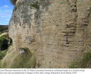 Late Pliocene Te Waka limestone deposited as carbonate banks in a current-swept seaway