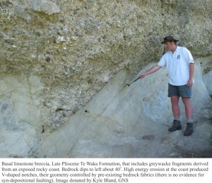 Basal limestone breccia of Late Pliocene Te Waka Formation, includes greywacke frgaments - along a hgh energy coast