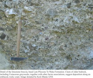 Detail of basal limestone breccia, including greywacke fragments.