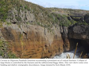 Caverns in the Punakaiki rocks are caused by dissolution along fractures and collapse. This view shows stratigraphic discordances probably generated by shifting facies belts on a relatively high energy platform.