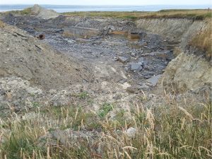 Silty clay loam developed on Carboniferous shale, Cliffs of Moher, west Ireland