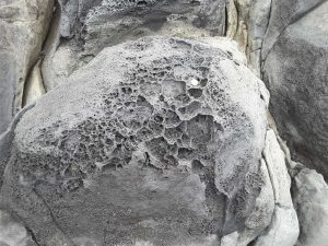 Honeycomb weathering of spheroids on basalt flows exposed to continuous seawater spray. Late Pliocene Karioi Volcano. Spheroids are bound by columnar joints from the original flow.