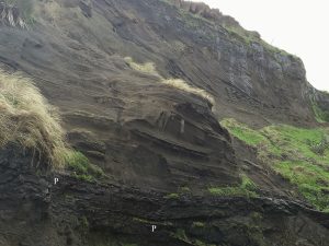 Multiple dune sets in a Pleistocene sand barrier, Kariotahi, south Auckland. Formation of the old sand barrier and dune field eventually created the straightened coastline that typifies the west coast of North Island.  The barrier formed during repeated rises and falls in sea level over about 2 million years.