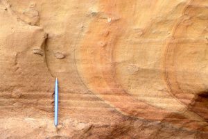 Liesegang rings are a common manifestation of shallow weathering in permeable sandstone.  The ring-like patterns form as iron oxides precipitate in concert with migrating groundwater. Precipitation is primarily controlled by Ferric ion saturation and diffusion. In places the ring patterns can mimic bedding and crossbedding. Mokau Sandstone, north Taranaki, NZ