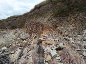 Old Red Sandstone bedrock extends into the low cliff where it is broken and gradually incorporated into gravelly colluvium by soil creep. The overlying thin sandy loam is formed predominantly on wind-blown sand. Red Strand, south Ireland. The top surface slopes towards the local beach.