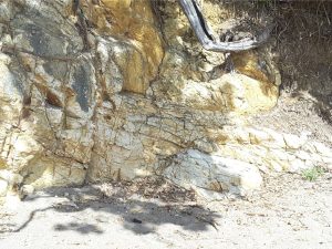 Mineral replacement and oxidation of rhyolite along fractures that act as conduits for groundwater seepage and mass transfer of dissolved solids.