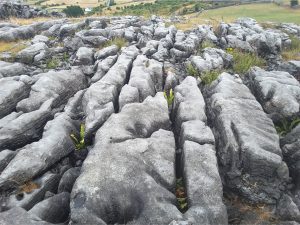 Karst, common weathered landforms in carbonate rocks: Clints (blocks) and grykes (jointed gaps or fissures) formed by dissolution of carbonate along fractures in Carboniferous limestone, Burrens, Ireland.