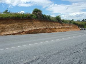 Topsoil developed on multiple ash layers; remnants of an older (fossil) soil is located above the pale band of ash (Waikato, NZ). Most of the loamy soils in this region are developed on volcanic ash beds.