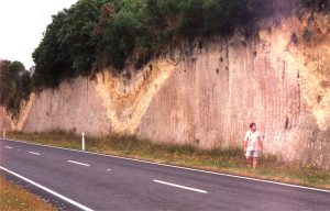 Three sets of small V-shaped paleovalleys and intervening ridges cut into welded Mamaku Ignimbrite (about 220,000 years old), draped by at least three ash fall deposits and thin paleosols (paleosoils). The entire outcrop is overlain by a more recent soil and modern vegetation. North of Rotorua, NZ