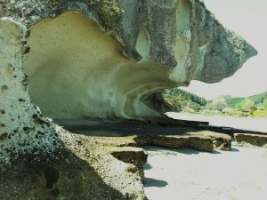 Coastal exposure of partially welded Ignimbrite sculpted by wave, wind and rain. Flaxmill Bay (south of Whitianga), New Zealand