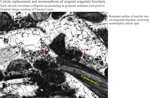 calcite cements