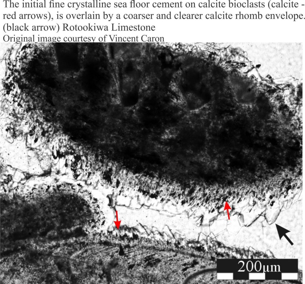 Isopachous calcite cement lining a bioclast, overlain by drusy spar