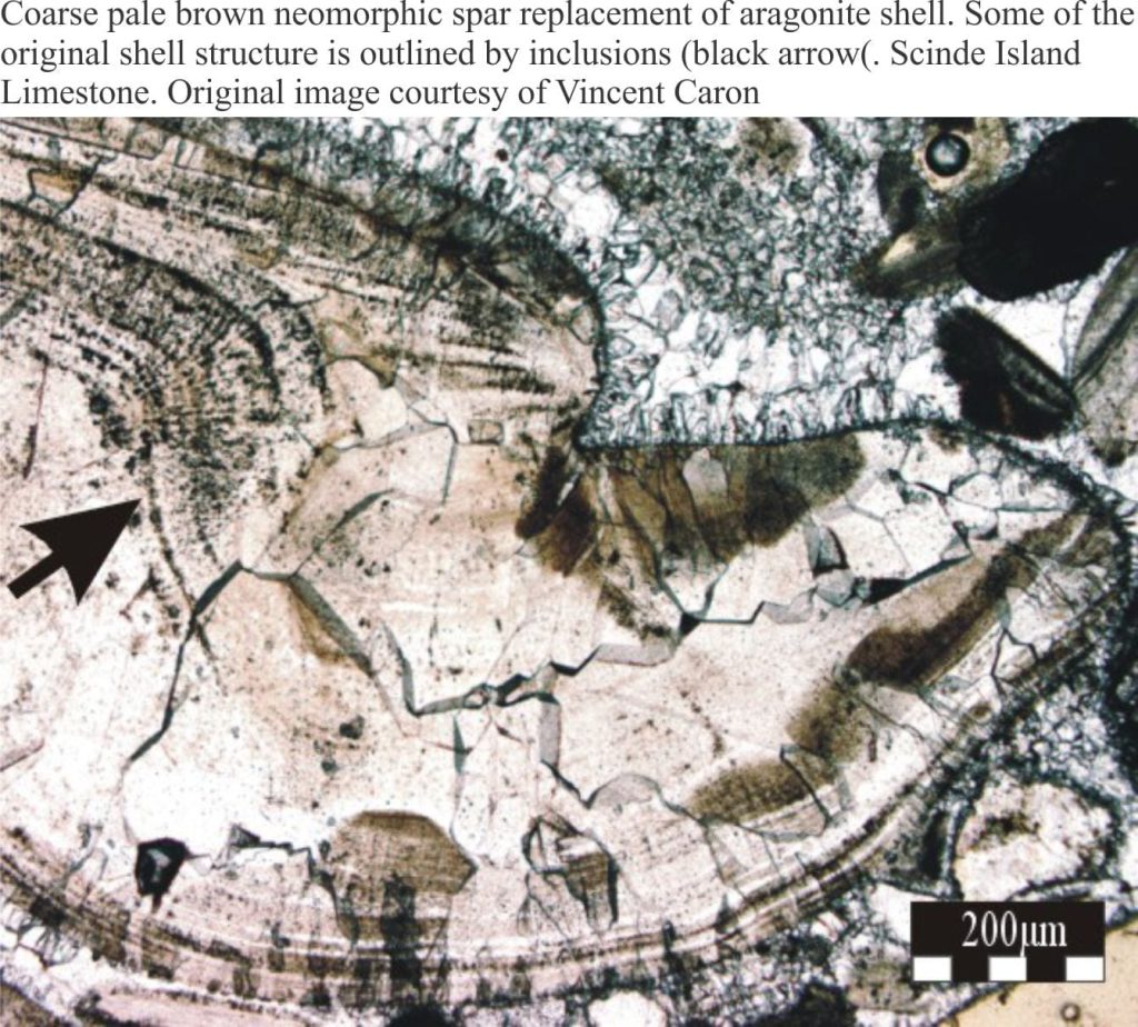 Mineralogy of carbonates; Neomorphism - Geological Digressions