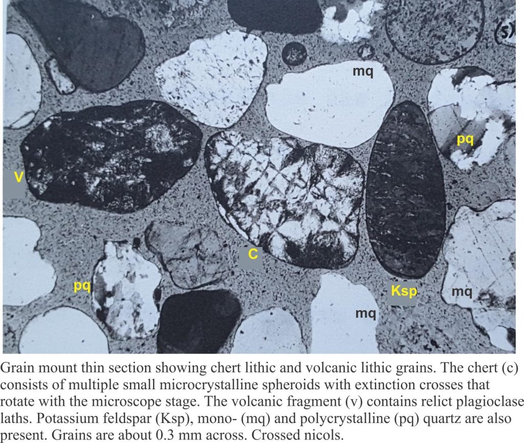 Thin section (from a grain mount) of chert and volcanic lithics, plus quartz and potassium feldspar