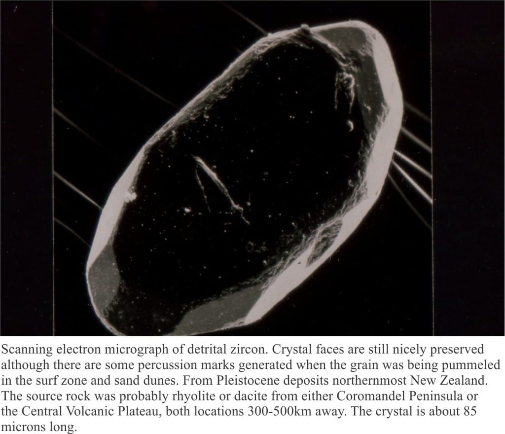SEM micrograph of detrital zircon from the Pleistocene of northenmost NZ. Derived from acid volcanics 300-500 km farther south