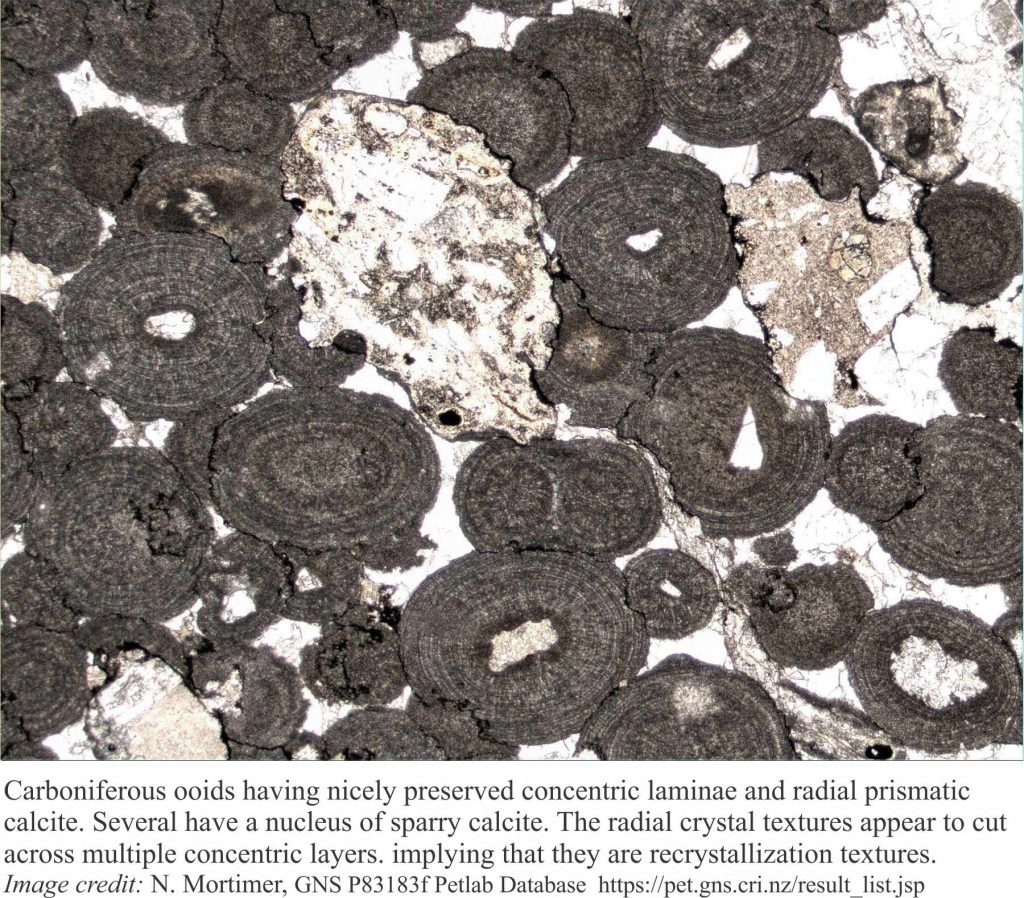 Concentrically layered Carboniferous ooids, indented by pressure solution