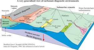 meteoric phreatic zone Archives - Geological Digressions