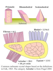 Common calcite and aragonite cement geometry and crystal habits