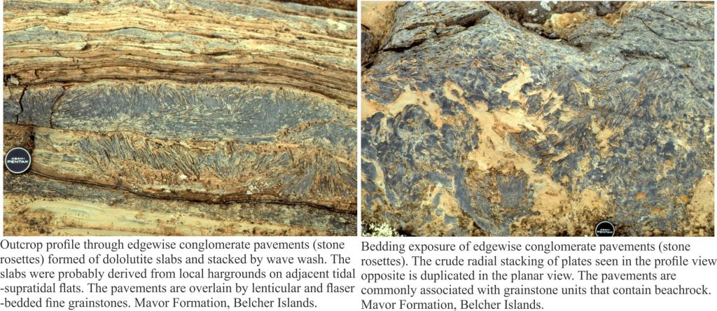 Stone rosette pavements in profile (left) and bedding. Each stacked slab consists of dolomitic mud eroded from an earlier hardground.