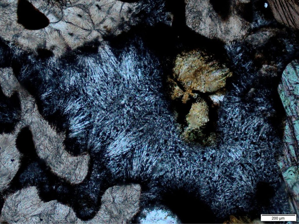 Radial aragonite clusters cementing scleractinian coral fragments (top and bottom left) and hornblende crystals (far right), in modern New Caledonia beachrock. PPL