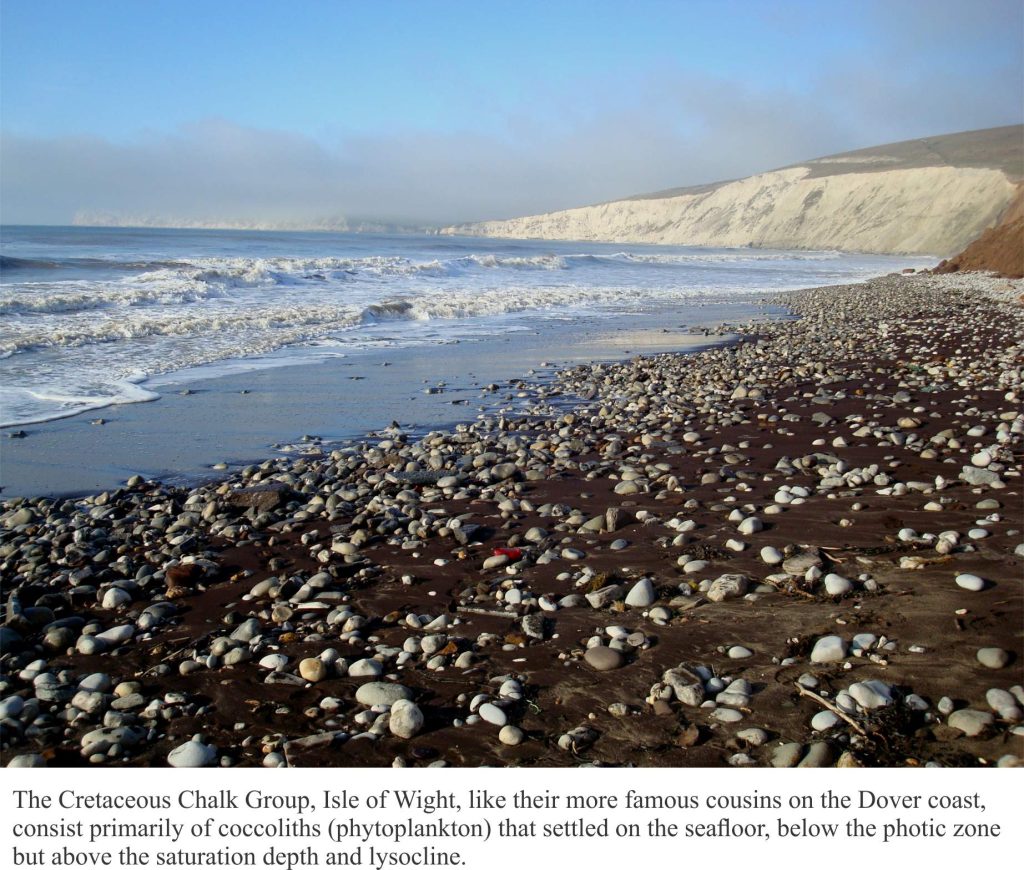 Cretaceous chalk consisting primarily of coccoliths, Isle of Wight