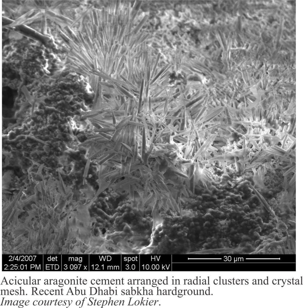 Radial clusters of fibrous aragonite from an Abu Dhabi sabkha