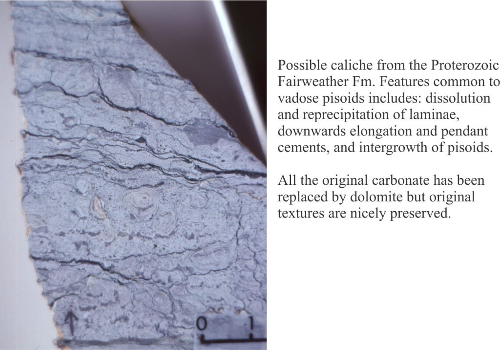 Polished rock slab showing vadose pisoids in a Peleoproterozoic caliche