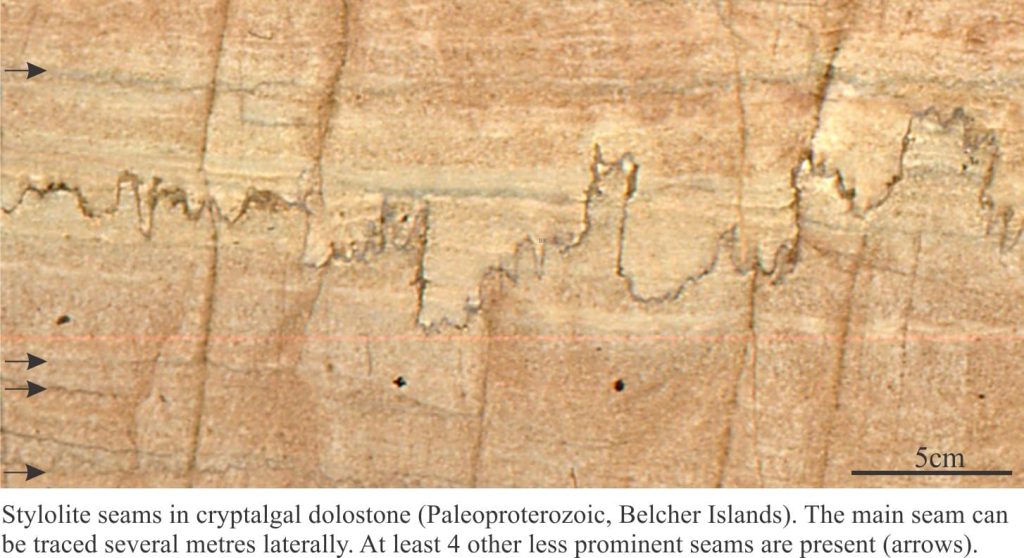 Stylolite seam in dolostone. There are four additional but more crypticseams