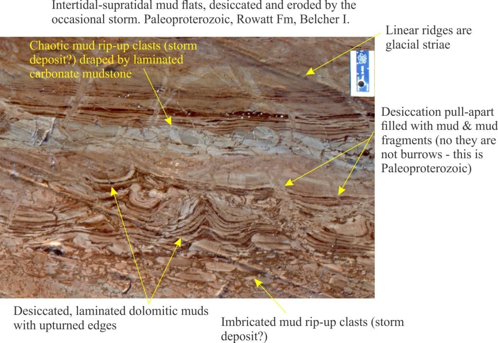 Desiccation cracks, up-turned mudcrack polygons, and (event bed) storm rip up clasts