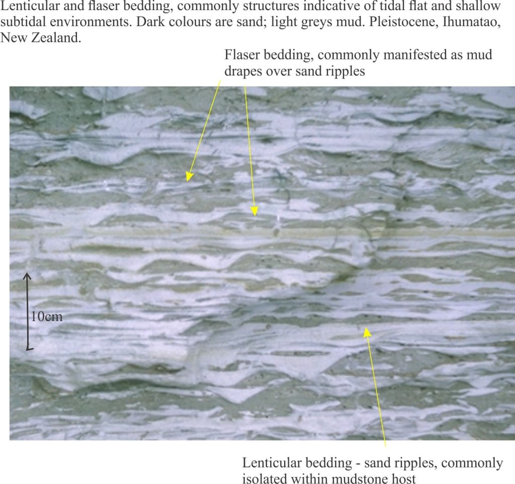 Lenticular and flaser bedding in Pleistocene tidal flat deposit