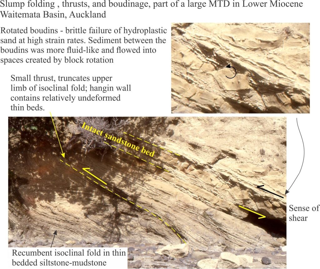 Isoclinal fold, thrust, and boundinage, Waitemata Basin