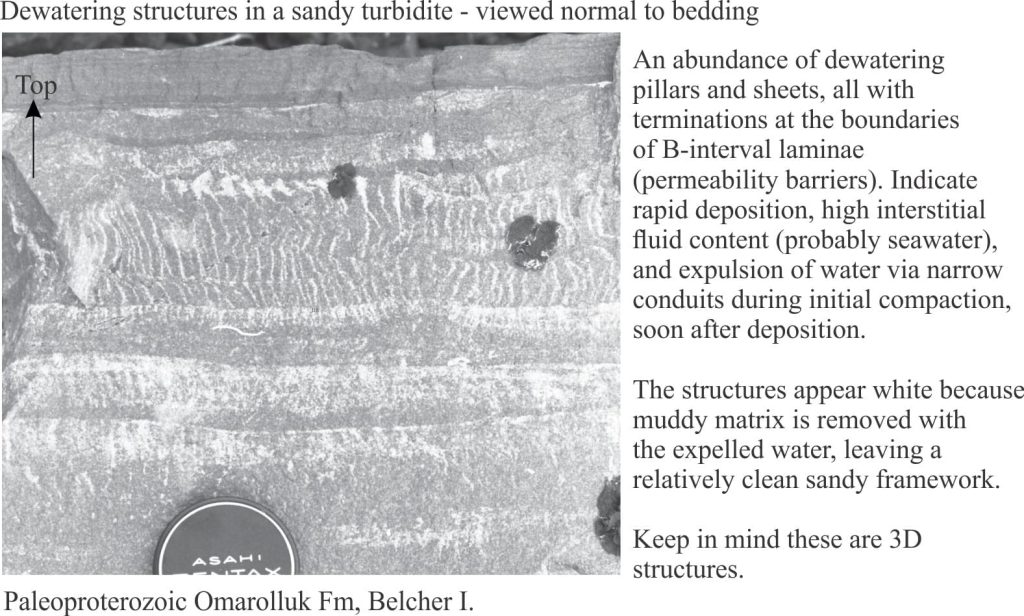 Dewatering sheets and pillars in a sandy turbidite, section normal to bedding