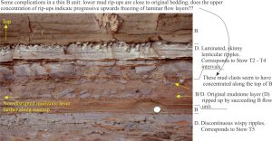 A thin Bouma Tb layer (at the coin) is overlain by a thin, rippled Tc (just above the coin), that subsequently was eroded by a thin, but coarse-grained sandy flow that ripped up local mudstone slabs and wafers. The middle grey mudstone is mostly Te (hemipelagic) with small bottom-current ripples redistributing sand across a thin layer. Waitemata Basin, Cockle Bay, south Auckland.