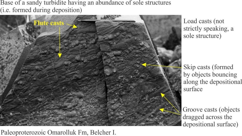 Flute casts, grooves, skip casts and load casts on the base of a turbidite