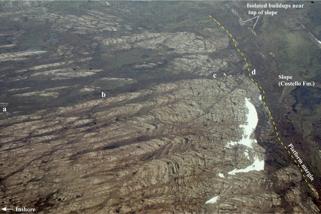 One of the better aerial views of the stromatolite reefs and platform margin (dashed line), east Tukarak Island. The horizontal distance across the buildups (left to right) is about 800m; beds dip right (east) 10o-15o. Buildup stratigraphy is 244m thick. Small subtidal mounds (left) coalesce towards the outer margin into larger buildups. Locations (a) through (d) refer to the 3D reconstructions shown below.