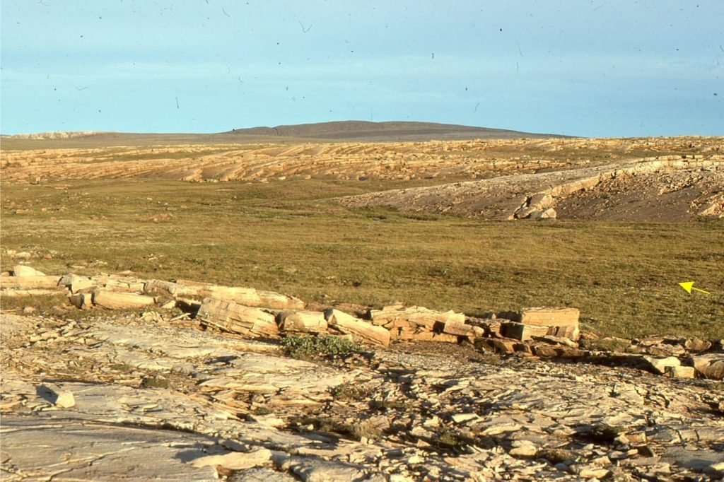 High synoptic relief reef mounds viewed towards the platform margin, slightly oblique to elongation axes. In places, individual beds can be traced across mounds. These large structures were constructed entirely of laminated cryptalgal laminates. Eastern Tukarak Island.