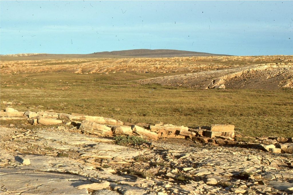 Large, elongate stromatolite mounds - a Precambrian reef complex