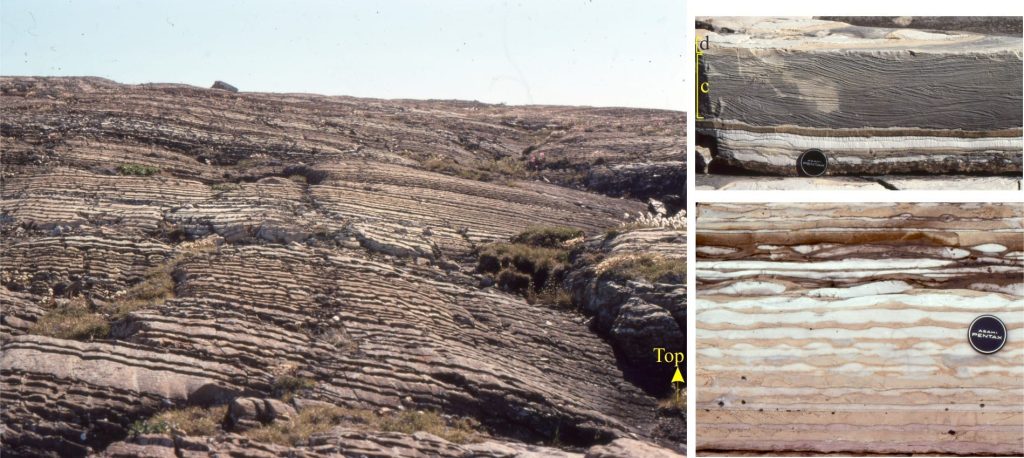 Slope rhythmites composed of calcilutite and dololutite. The ‘lumpy’ appearance is mainly due to incomplete replacement of calcitic mud to dolomite; this is one of the few units in the Belcher stratigraphy that still contains some calcite. Left: A relatively continuous succession of rhythmites, cut by numerous small extension faults. Top right: Bouma c (climbing ripples) and thin d (laminated mud) intervals of a turbidity current. Sandy material in the c interval was derived from the inshore deposits. Bottom right: Dololutite with some terrigenous mud (red hues), interbedded with white calcilutite rhythmites.