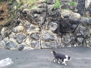 Spheroidal weathering of basalts in Pliocene basalts, NZ