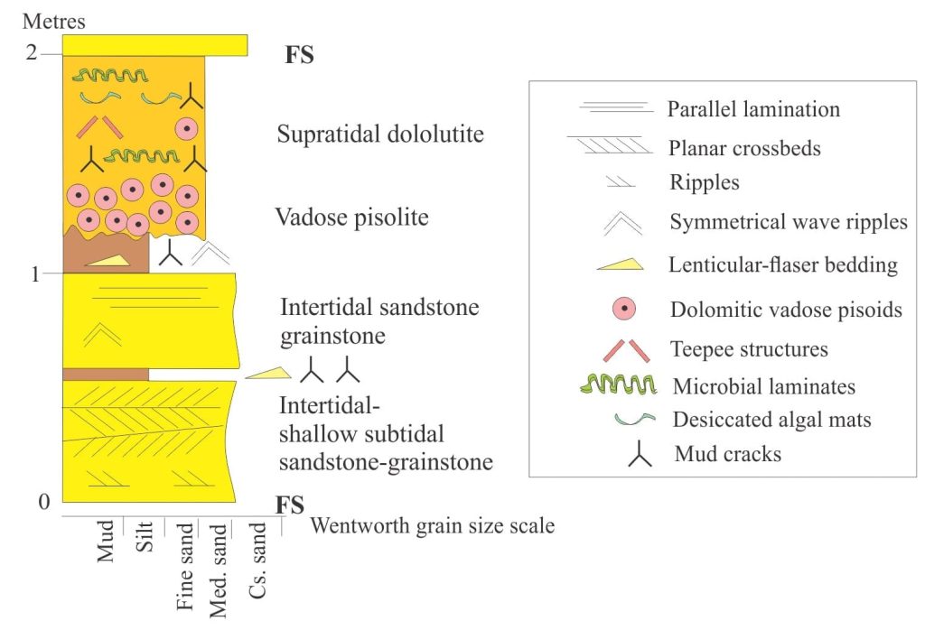 Schematic representation of mixed siliciclastic-carbonate tidal cycles in the Paleoproterozoic Fairweather Formation, Belcher Islands, Hudson Bay.