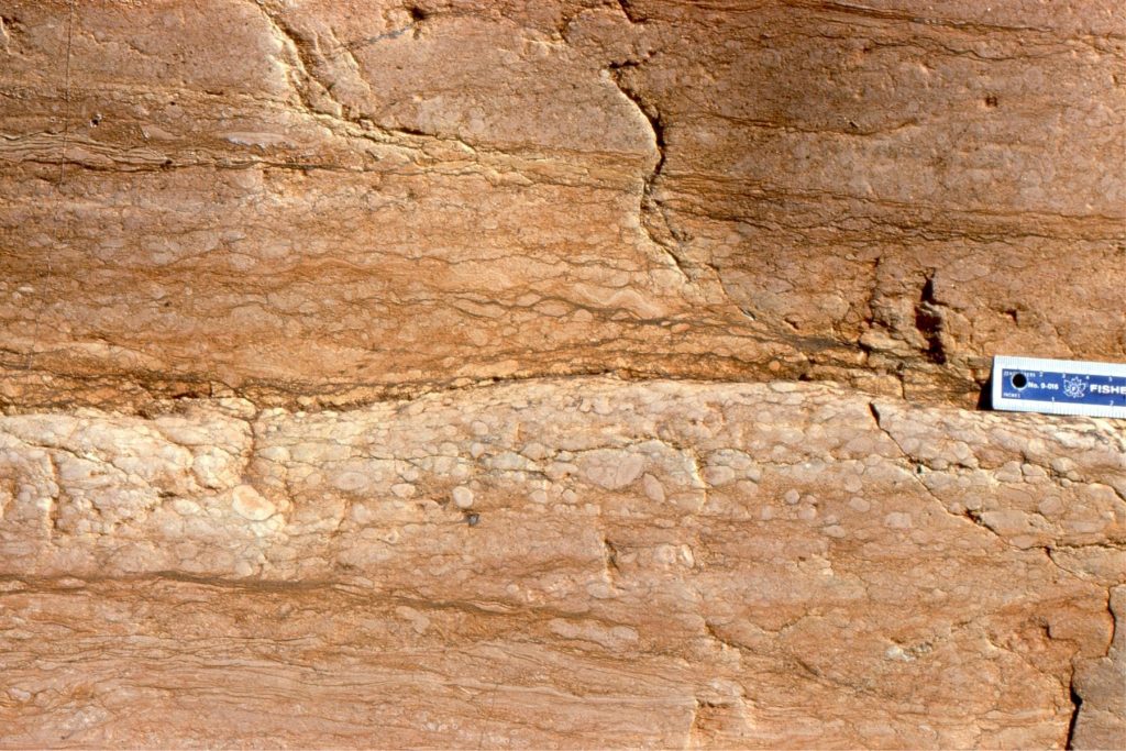 Successive vadose pisolite beds formed by multiple periods of in-situ precipitation and dissolution attendant on fluctuating watertables and the occasional marine flooding of supratidal flats by storm and spring tides. 