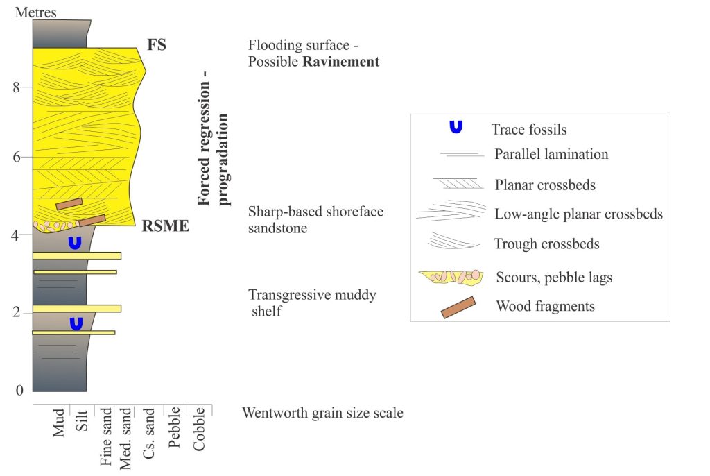 Schematic representation of a forced regressive sandstone wedge, Middle-Late Paleocene, Axel Heiberg Island. RSME = Regressive Surface of Marine Erosion; HST = underlying Highstand deposits.