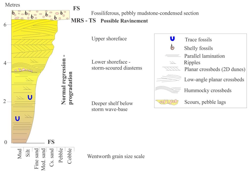 Shelf parasequence representing progradation during normal regression. Bowser Basin