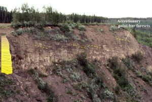 A typical fining-upward unit in Cretaceous fluvial channel and point bar deposits, Dunvegan Fm. Peace River, Alberta. The stratigraphic column width represents relative grain size; the unit is about 6m thick. The more massive looking, pale brown sandstones below are crossbedded (mainly trough crossbeds) channel thalweg deposits.