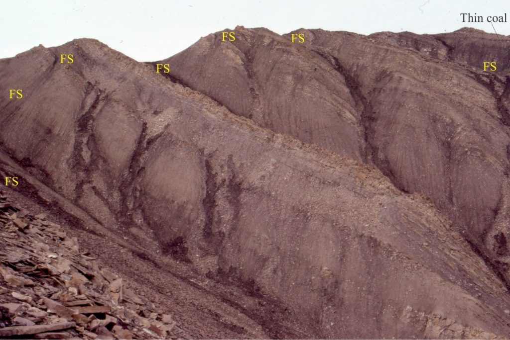 Late Paleocene, delta lobe parasequences in a progradational stack. The proportion of sandstone in each parasequence decreases at the expense of mudrocks. Indications of exposure and soil development appear near the top of this view. Outcrop thickness is about 300 m. FS = flooding surface.