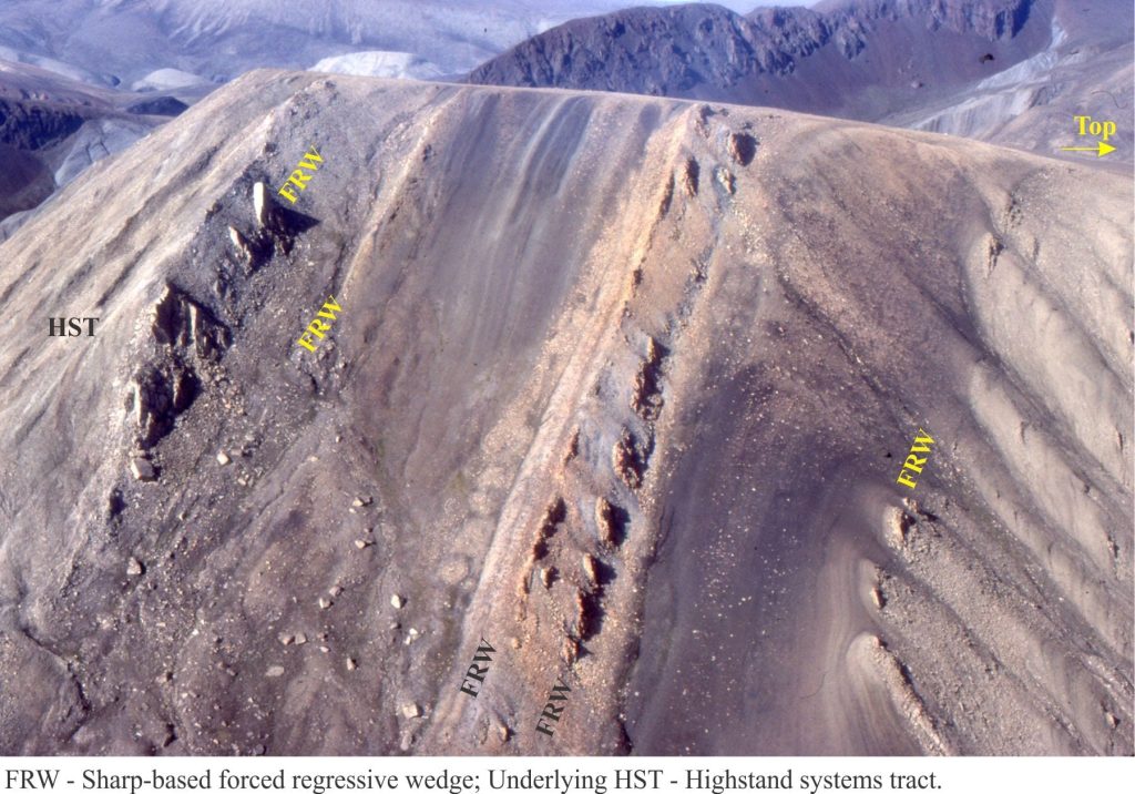 Sharp-based, forced regressive sandstone wedges in the Mid-Late Paleocene Strand Bay Formation, Axel Heiberg Island. The section across the ridge-line is about 150m thick.